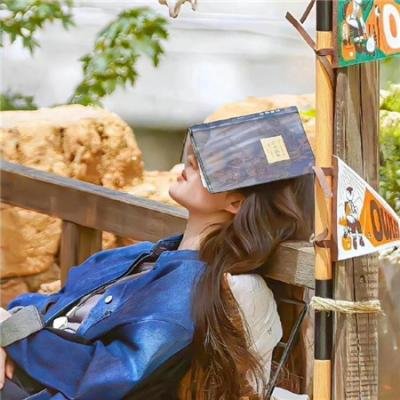 双子座计划